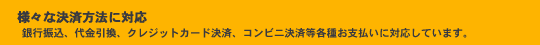 様々な決済方法に対応。銀行振込、代金引換、クレジットカード決済、コンビニ決済等各種お支払いに対応しています。