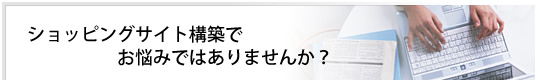ショッピングサイト構築でお悩みではありませんか？